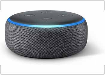 Is it possible to use voice control with my ceiling speakers?