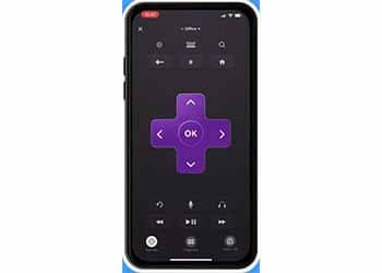 Roku Remote